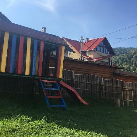 Гостевой дом Casa Oana Ioana Моечу-де-Жос Экстерьер фото